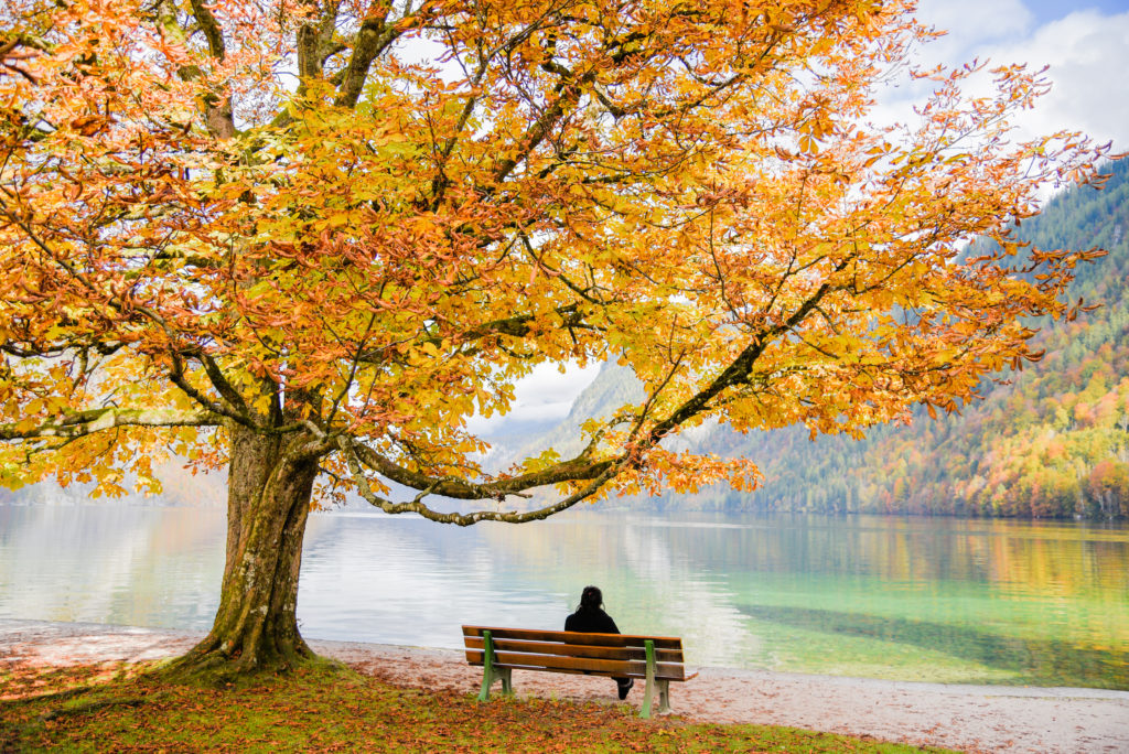 Relax,At,Konigssee,Lake,In,Autumn
